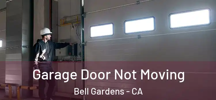  Garage Door Not Moving Bell Gardens - CA