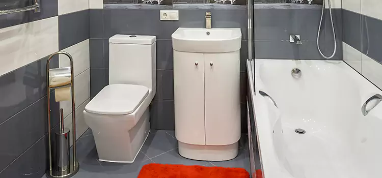 Hansgrohe Shaving Mirror Bell Gardens